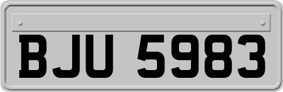 BJU5983
