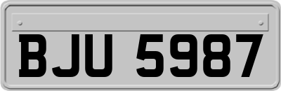 BJU5987