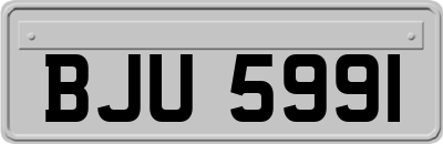 BJU5991
