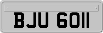 BJU6011