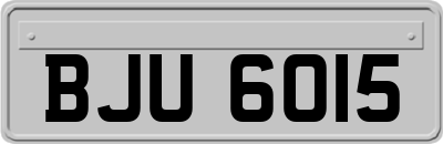 BJU6015