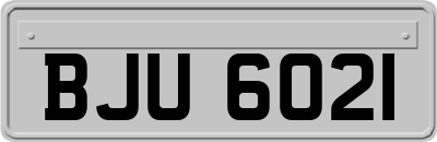 BJU6021
