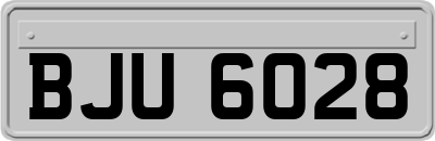 BJU6028