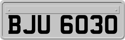 BJU6030