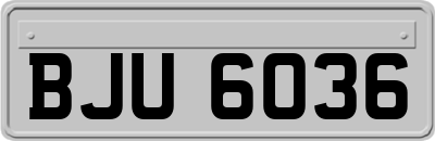 BJU6036