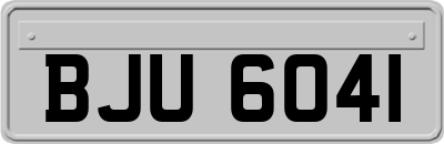 BJU6041