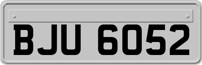 BJU6052