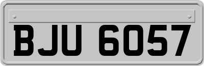 BJU6057