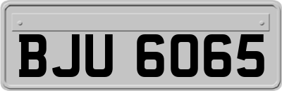 BJU6065