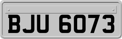 BJU6073