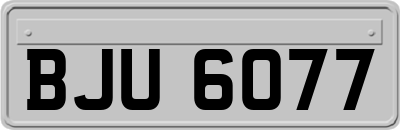 BJU6077