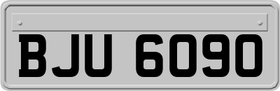 BJU6090