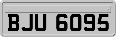 BJU6095