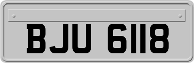 BJU6118