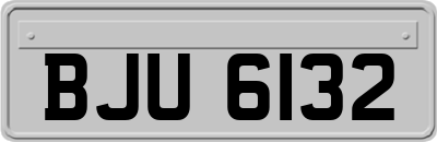 BJU6132