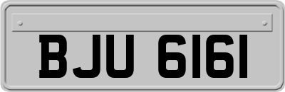 BJU6161