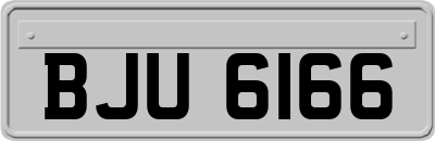 BJU6166