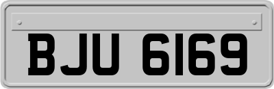 BJU6169