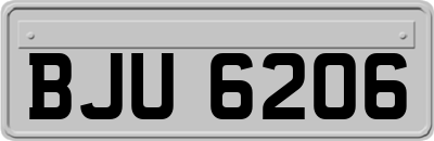 BJU6206