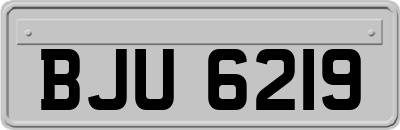 BJU6219