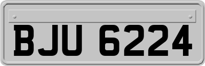 BJU6224