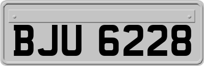 BJU6228