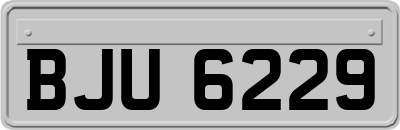 BJU6229