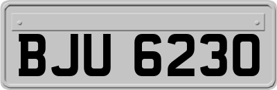 BJU6230