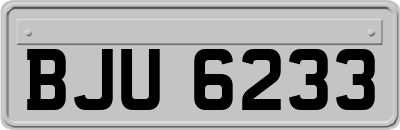 BJU6233