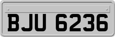 BJU6236