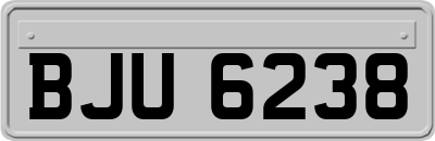BJU6238