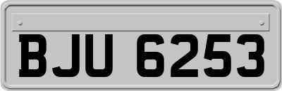 BJU6253