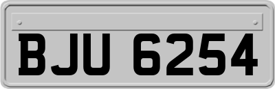 BJU6254