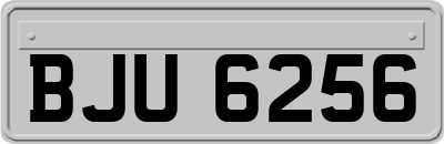 BJU6256