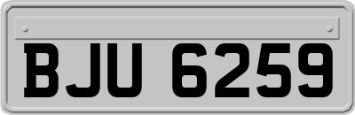 BJU6259