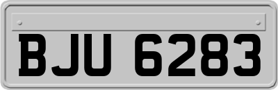 BJU6283