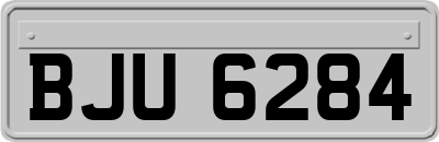 BJU6284