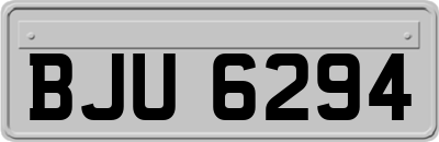 BJU6294