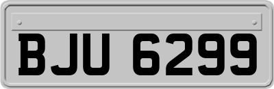 BJU6299