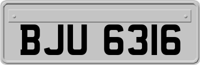 BJU6316