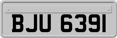 BJU6391
