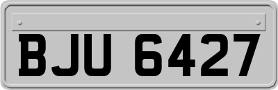 BJU6427