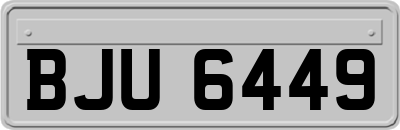 BJU6449