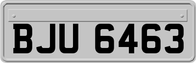 BJU6463