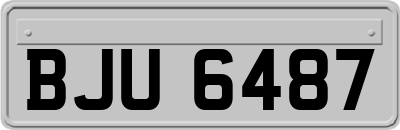 BJU6487