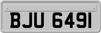 BJU6491