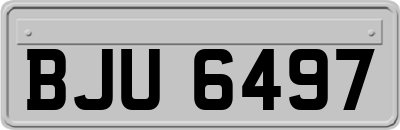 BJU6497