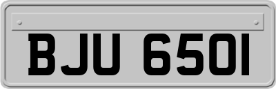 BJU6501