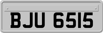 BJU6515