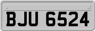 BJU6524
